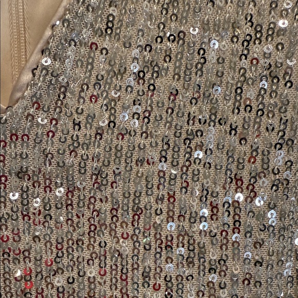 NWT Eliza J Silver Sequin Balloon Sleeve Skater Dress Size 8 New Years Party - Picture 14 of 15